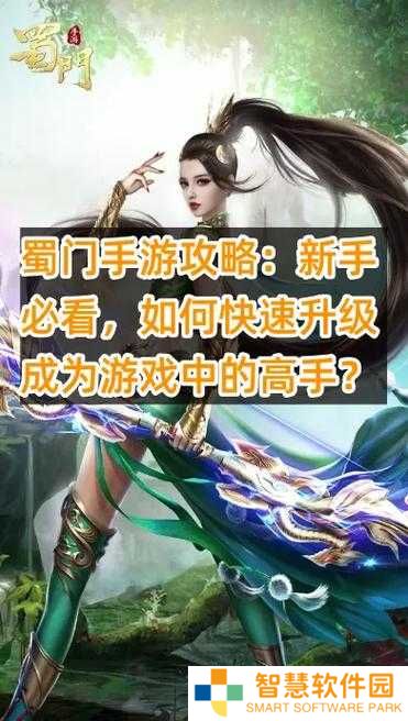 蜀门手游中如何快速切换不同游戏模式？新手必看的详细操作指南与技巧分享