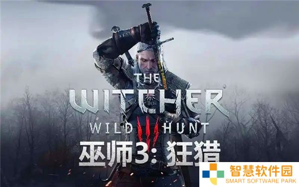 巫师3在战斗中失踪支线任务流程