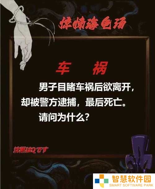 你敢挑战海龟蘑菇汤黑色钱包终极谜题？全关卡答案攻略大揭秘，破解隐藏线索赢取神秘奖励