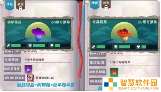 创造与魔法奇异菇菇刷新时间 以及具体地点