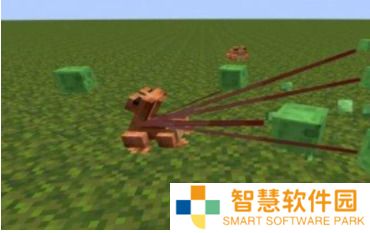 我的世界青蛙有什么用 我的世界青蛙用途介绍