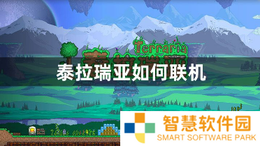 泰拉瑞亚如何联机？好友联机的具体详细方法的攻略