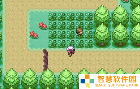 口袋妖怪燃之智凤王在哪 凤王位置攻略