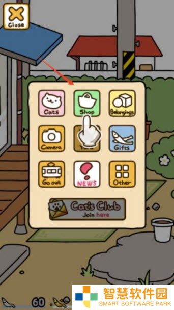 猫咪后院2国际服