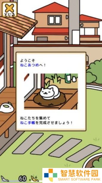 猫咪后院2国际服
