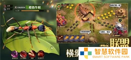 小小蚁国怎么提升战力最快 小小蚁国战力提升攻略详解