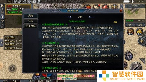 浮幽抓宠沉默