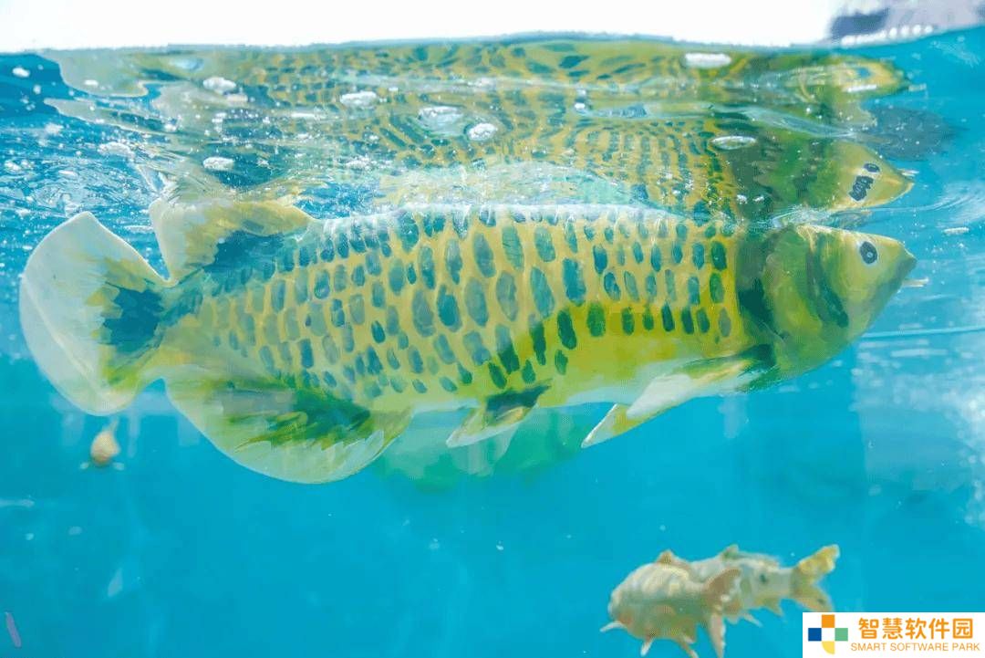 智能软体仿生鱼“金鳞”面世，能否在水族界掀起新风尚？