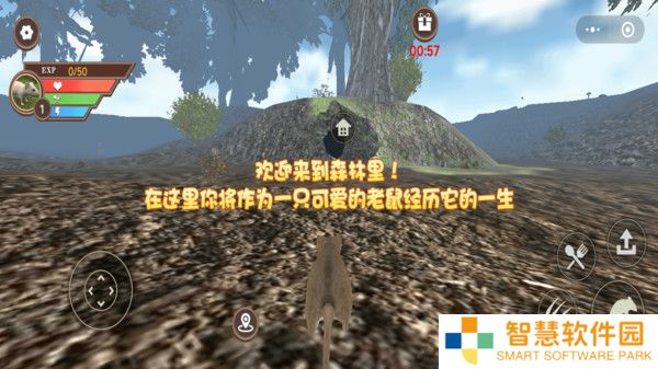 真实老鼠模拟