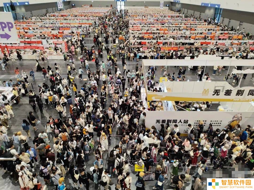 O展崛起，二次元经济新热潮还是短暂狂欢？